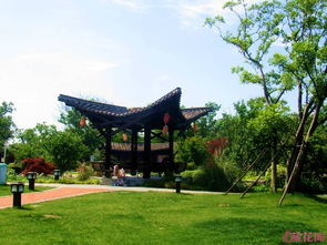 亭子上Ke以种植的花，你知多少？