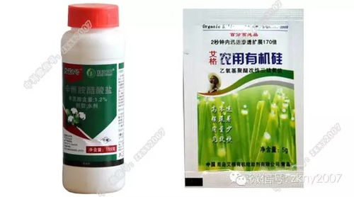 护棉丹三环唑的神奇力量：如何对抗棉花黄萎病？