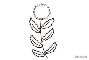 蒲公英小草简笔画图片， 铲草简笔画，草植物简笔画