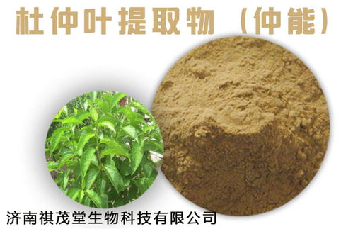 饲料提取物中，哪种植物成分对动物生长促进效果最佳？