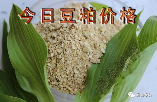 2026年5月豆粕价格与2023年7月20日龙口豆粕价格相比，涨幅是多少？