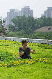 五、 保护建筑物顶部，延长使用寿命