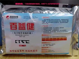 断奶仔猪无抗养殖中，灭活乳酸菌及枯草芽孢杆菌复合制剂应用效果如何？