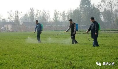 杂草多少，影响用药量