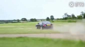 高尔夫球场草种选择的重要性