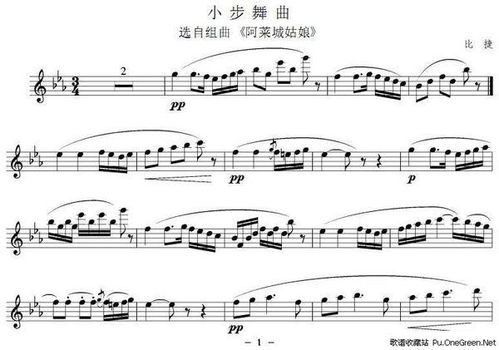 维瓦尔第月季， 那朵独特的花