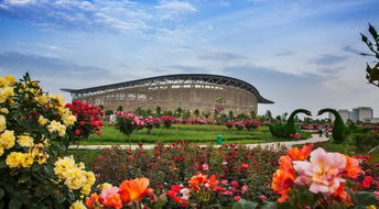 高质量举措， 让人眼前一亮