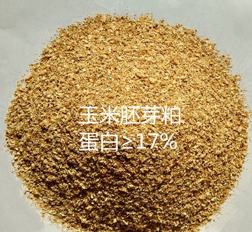 玉米胚芽粕除了喂猪，还能否用于生物燃料生产，饲料厂省成本真相是什么？