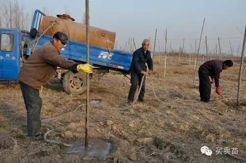 浇水频率数据引自