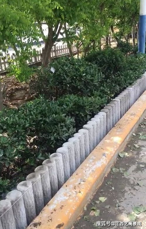 水泥地种树小窍门