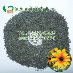 阳台庭院草本花卉实战清单大揭秘