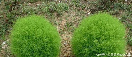 材料准备：别偷懒