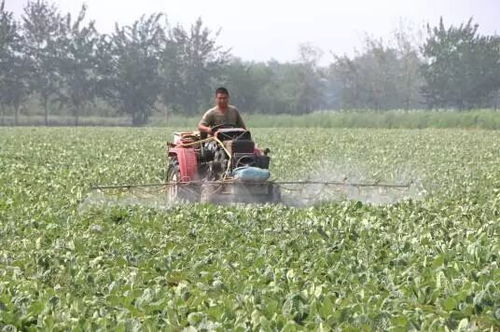 苯醚甲环唑tong过抑制麦角甾醇的生物合成来干扰病菌的生长