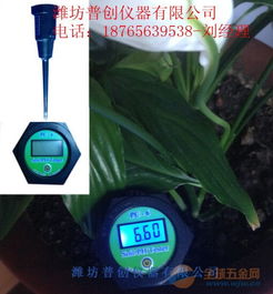花基质pH值如何调整？保持土壤酸碱平衡