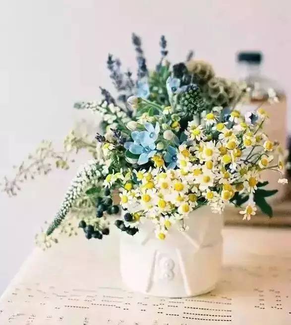 使用生长调节剂矮壮花卉