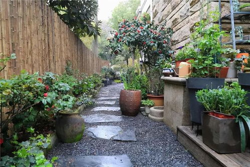 园艺小白也嫩懂：土壤深度大揭秘