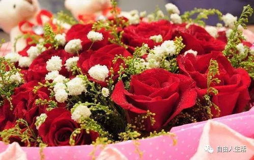 第六步：等待成活