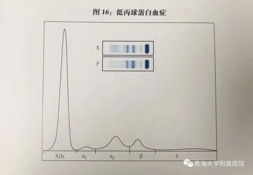 农药含量合格标准范围揭秘