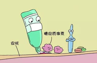 豆腐渣喂牛有哪些具体操作步骤和注意事项？