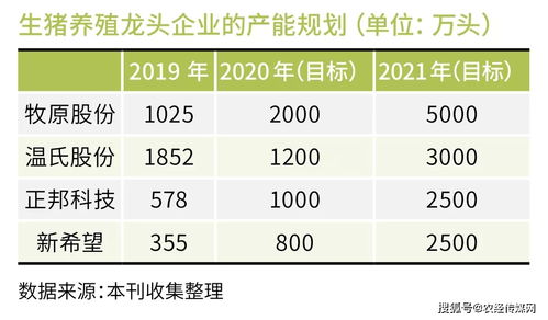 正邦饲料在行业排名中，从第11名到重组蜕变，究竟经历了哪些关键转折？