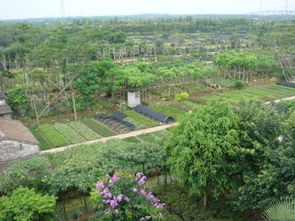 全国十大苗木市场，你有没有去过？