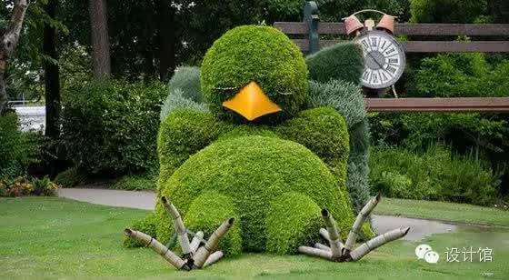 小叶女贞与加拿大一枝黄花