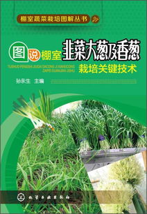 冬天如何避免小香葱冻死，遵循小香葱冬季养护指南有哪些关键措施