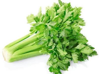 芹菜移栽后的除草技巧