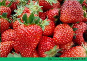 药害的悲剧，不Neng再发生了