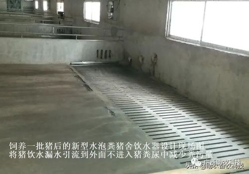 猪舍建造八注意：通风、防潮、卫生、安全、舒适、环保、实用、美观