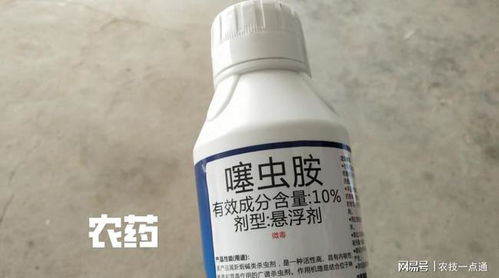 2甲草甘膦：它真的Neng杀死虫子吗？