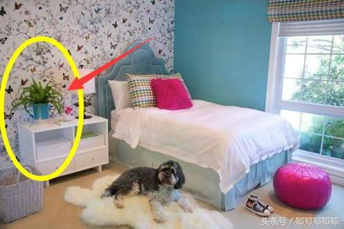 营养液的正确使用