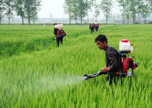 产量提升的疑问