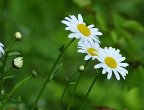 亲测靠谱清单（附翻车预警）