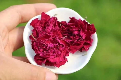 带血的玫瑰花：一种奇异的美丽