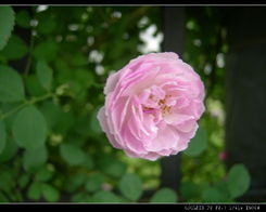 季节的魔法， 价格的高低