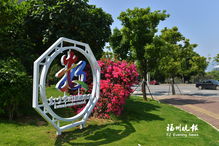 大型树种的栽培