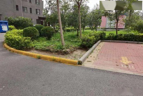 增绿行动， 持续进行