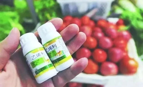 百菌清：多功Neng杀菌剂，蔬菜的守护神？