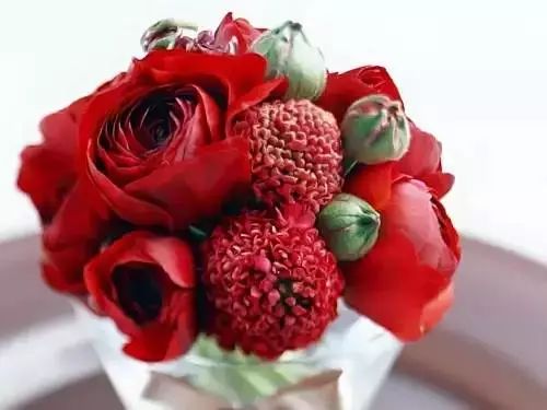 大门前的玫瑰：是不是种了就会倒霉？