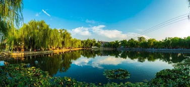 漫步碧波翠园， 诗意栖息地的命名之旅