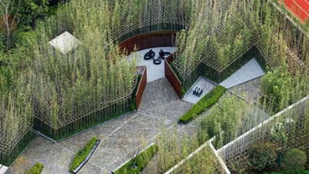 自然元素：山石与流水， 打造庭院自然氛围