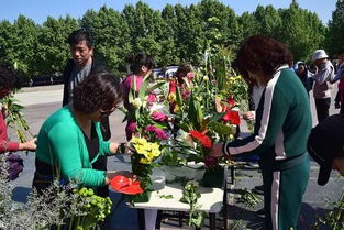 月季诗词欣赏， 文化韵味