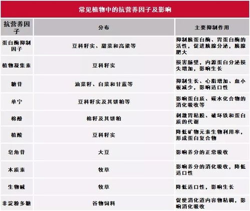 饲料中赖氨酸含量过高是否会影响动物健康和饲料利用率？