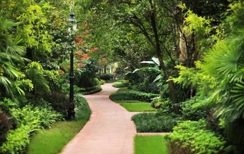 生态课堂融入景观设计