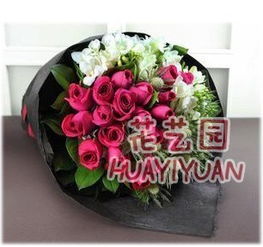 玫瑰花的魅力，你知多少？