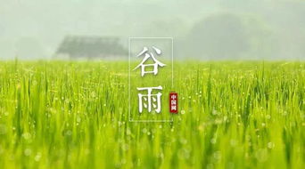 清明忙种麦， 谷雨种大田