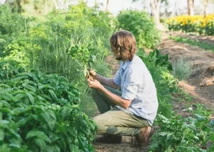 选择合适的环境， 让小人祭茁壮成长