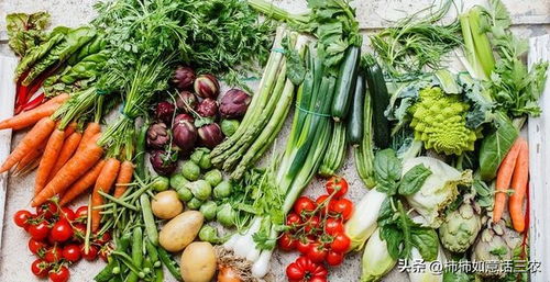 瓜瓤绿，口感佳——黄瓜种植篇