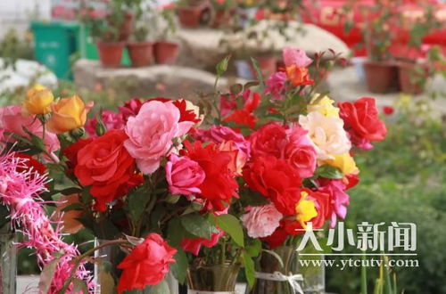 节日庆典， 热闹非凡